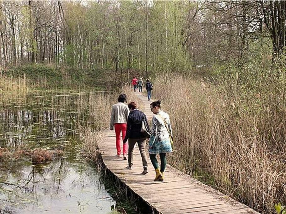 Villa Kempen-Broek ヴェールト エクステリア 写真